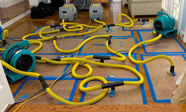 Professional Burst Pipe Water Damage technician working in Barton, OH